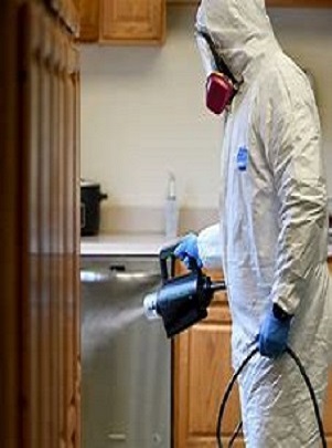 Disinfection Main Services Image